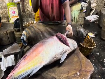 مهارت و هنر ماهی فروش هندی در برش زدن ماهی تراولی