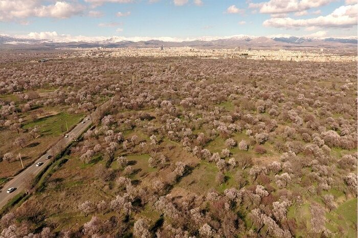  باغستان قزوین نشان ثبت جهانی دریافت می‌کند