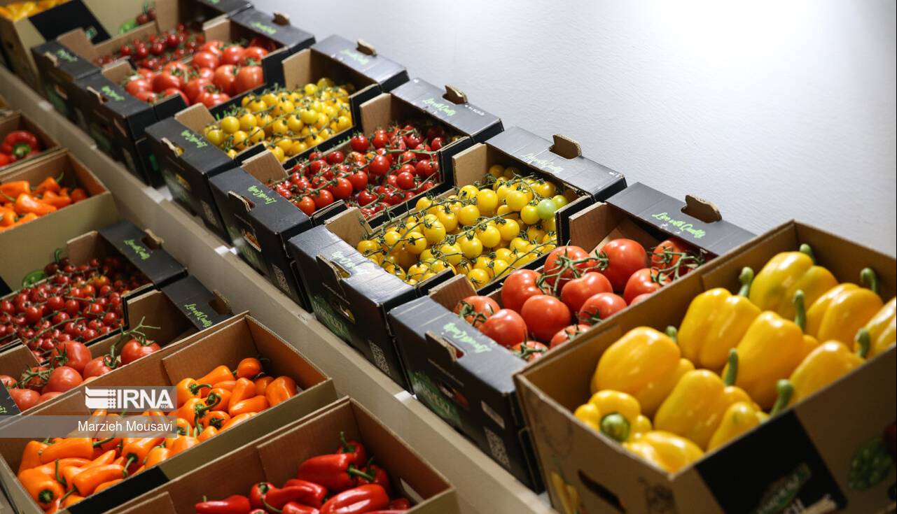 برگزاری نمایشگاه اگروفود در حاشیه اجلاس استانداران خزر