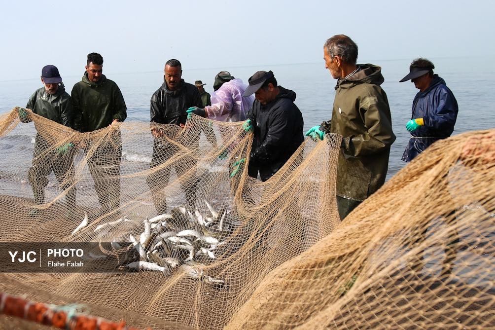 صید ماهی در استان گیلان
