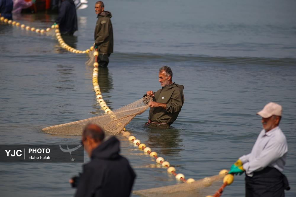 صید ماهی در استان گیلان