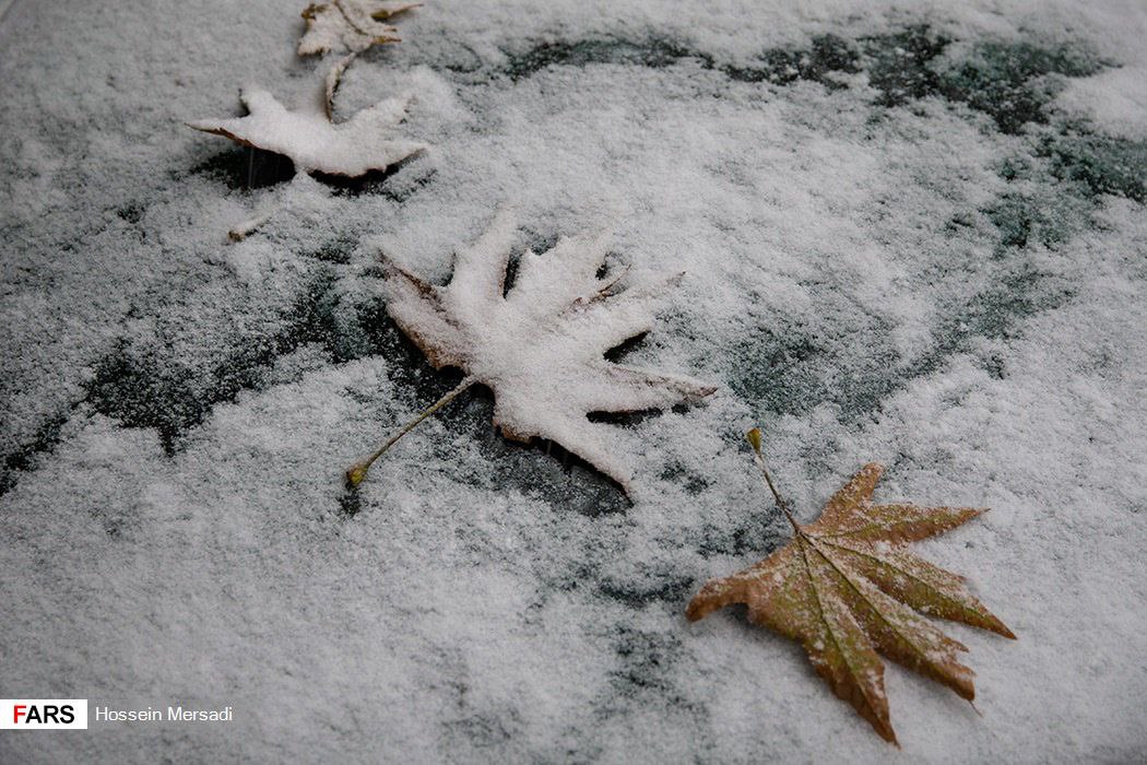  روز برفی تهران؛ آبان ماه ۱۳۹۸ 