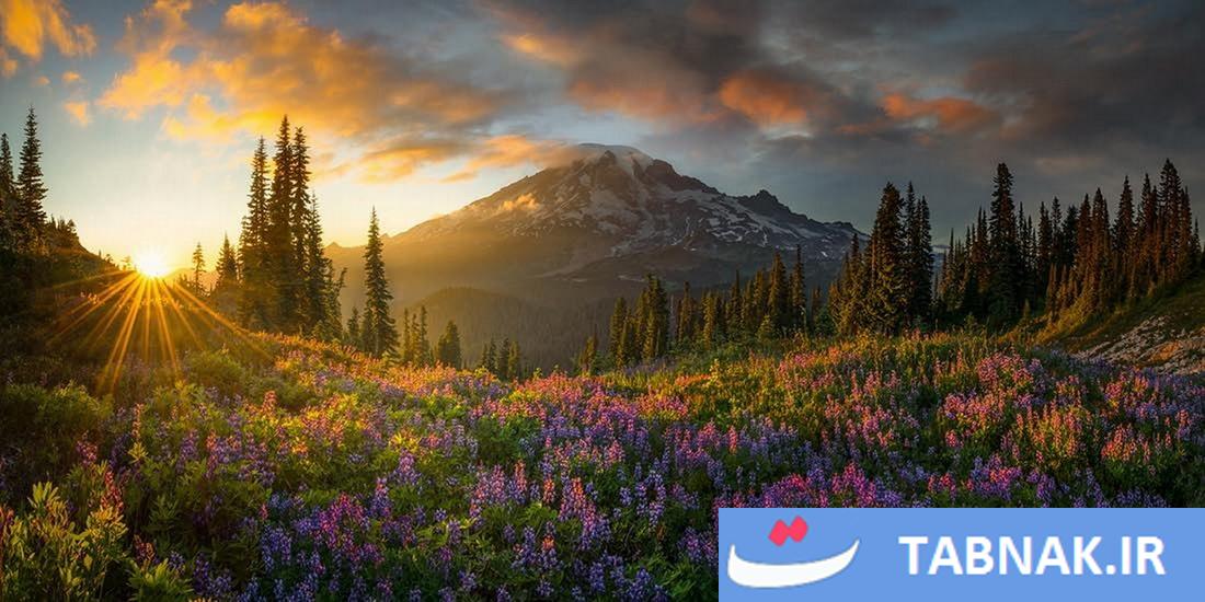 عکس/برندگان مسابقه عکاسی بینالمللی Pano یا پانوراما ۲۰۲۵