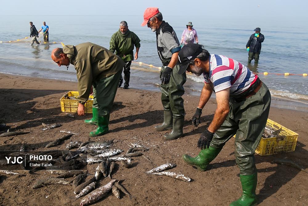 صید ماهی در استان گیلان