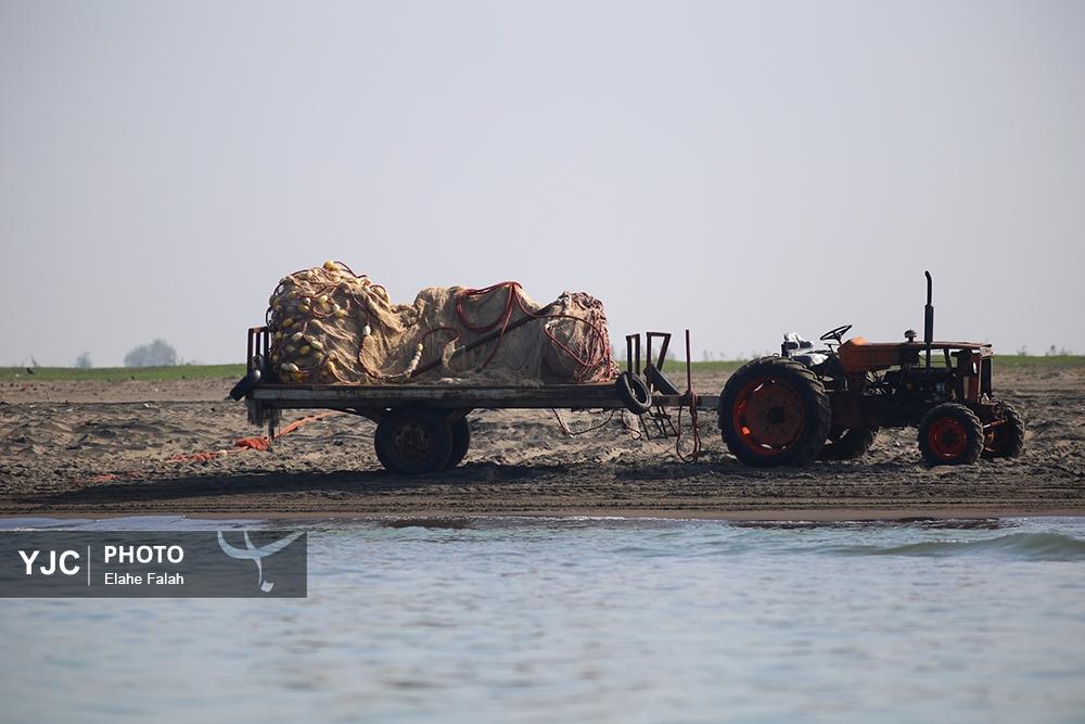 صید ماهی در استان گیلان