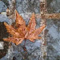 پیشبینی بارش پراکنده برف و باران در خراسان رضوی