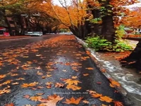 پاییز رویایی خوانسار