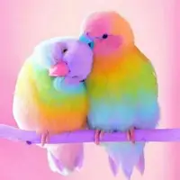 حرکت جالب پرنده باهوش