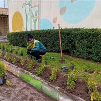 شهردار اردبیل: بیش از ۱۰ طرح فضای سبز و زیباسازی شهر اجرا شد