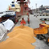 ورود سازمان بازرسی به معضل کمبود نهادههای دامی