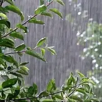 رگبار باران در نوار شمالی/ دریای خزر مواج میشود