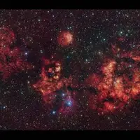 عکسی از خفاش هالووین در آسمان!