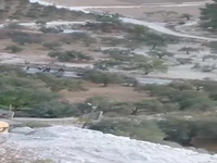 حمله شهرکنشینان صهیونیست به الخلیل در کرانه باختری