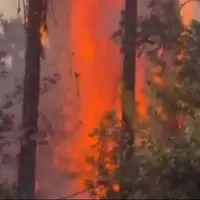 آتش سوزی در باغ تاریخی چشمهبلقیس چرام کهگیلویه و بویراحمد