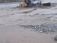 وقتی میگن سیل شوخی بردار نیست یعنی این