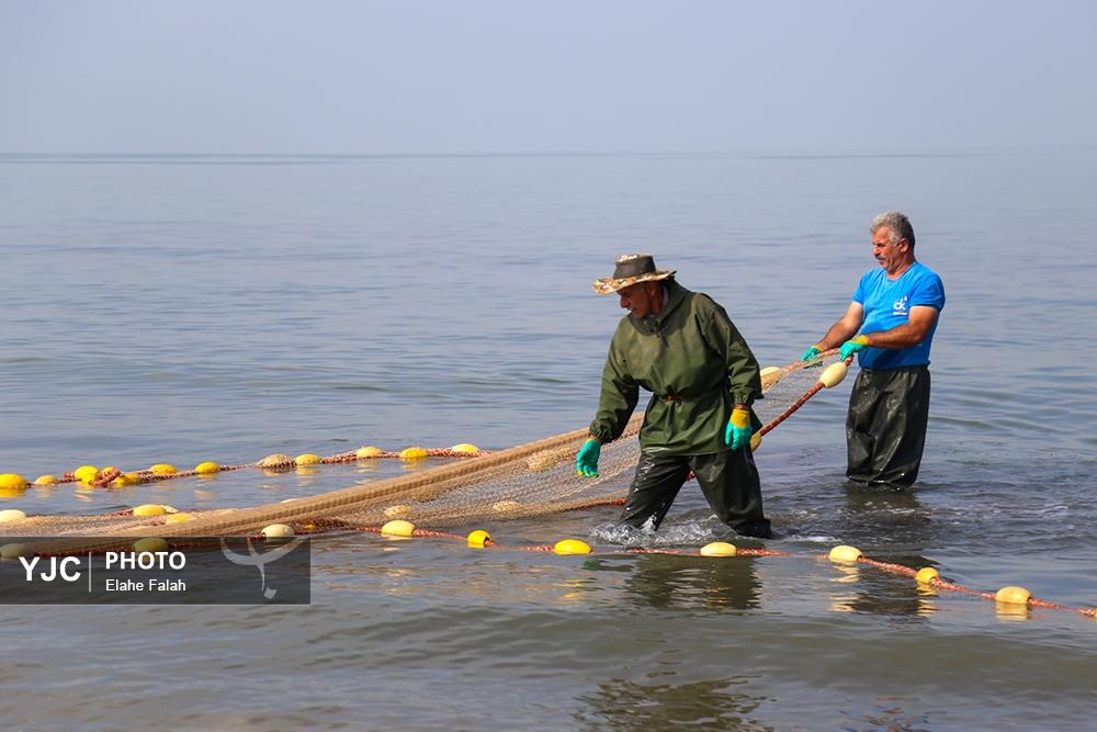 صید ماهی در استان گیلان
