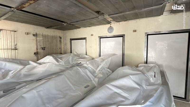 تحویل پیکرهای ۳۰ شهید فلسطینی در چارچوب توافق تبادل اسرا