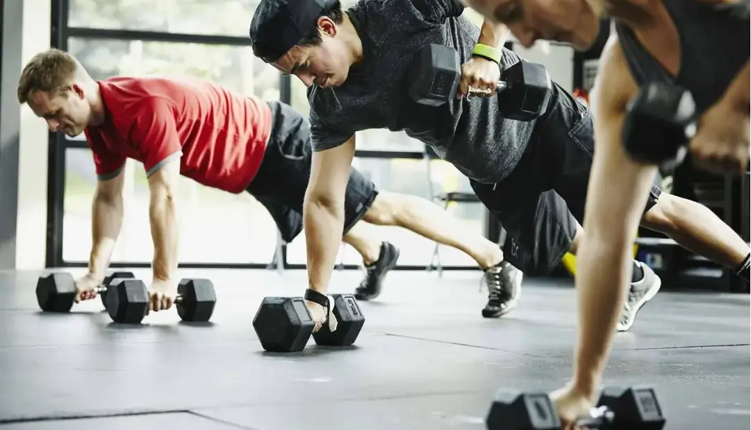 تمرینات مقاومتی فقط عضله نمیسازند؛ میکروبهای روده را نیز دگرگون میک