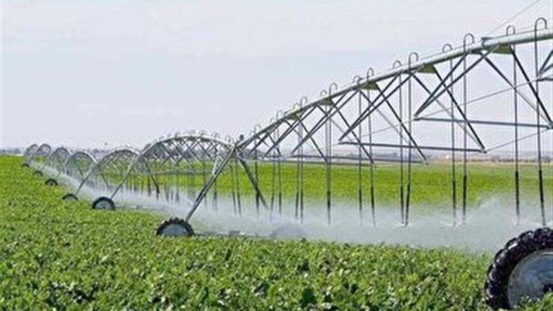 کاهش ۴۰ درصد بارندگی، سهم آب کشاورزی را به ۵۱ میلیارد رساند