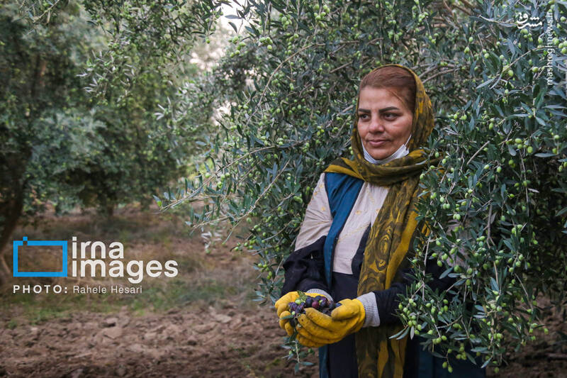 رزق و روزی در خاک و دریا