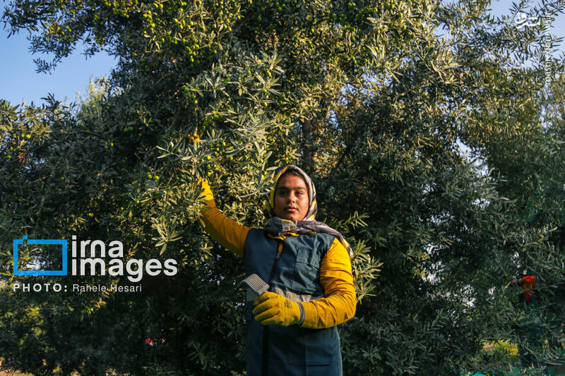 رزق و روزی در خاک و دریا