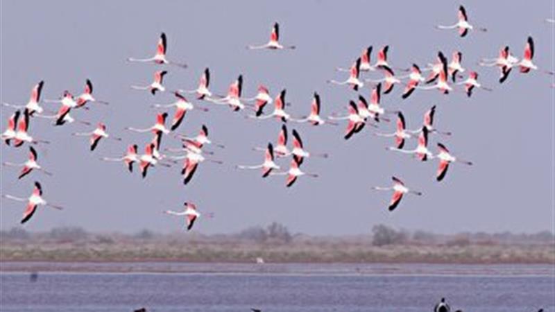 ارتقای تالاب «مُره» استان قم به منطقه حفاظتشده