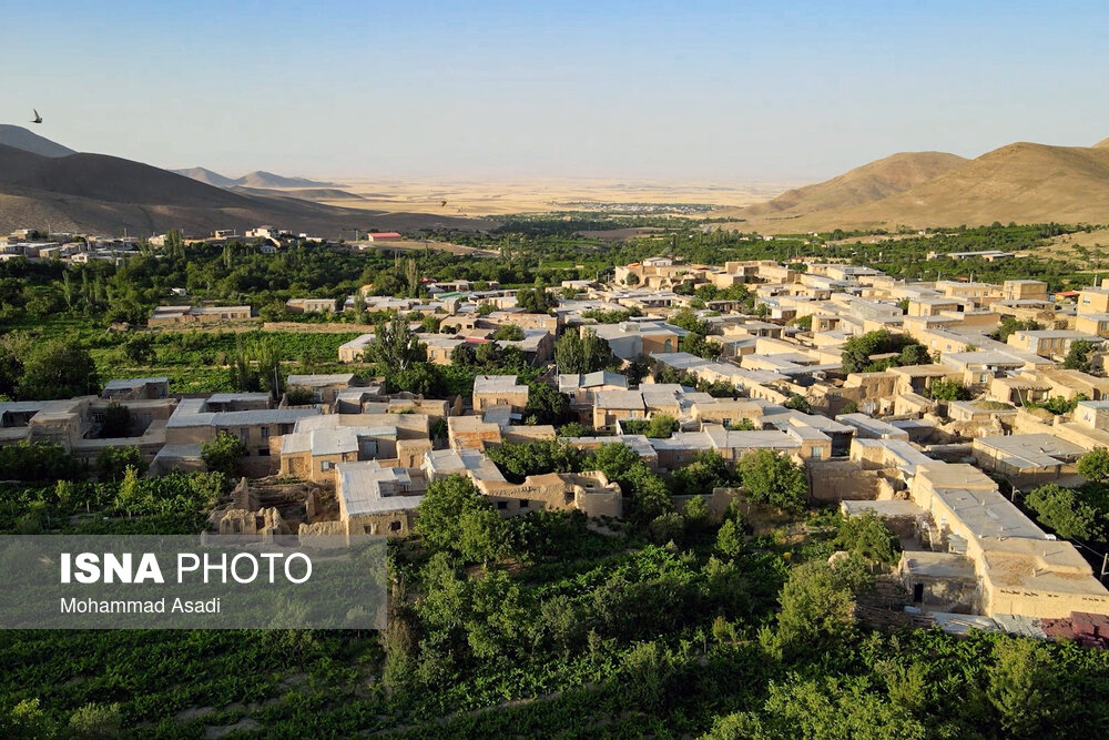 فصل انگور در «هزاوه»