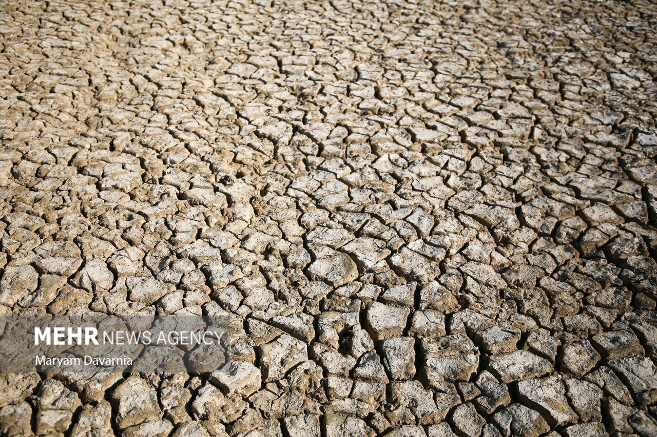 عکس/ مرگ دست جمعی ماهی‌ها در سد عبدل آباد بجنورد