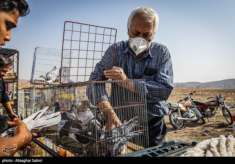 بازار پرنده‌فروشان بجنورد