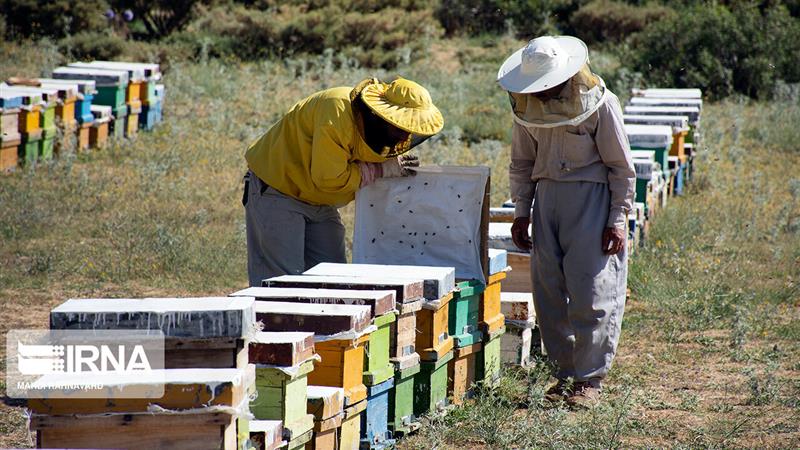 یکهزار شغل با تسهیلات بسیج سازندگی در خراسان شمالی ایجاد شد