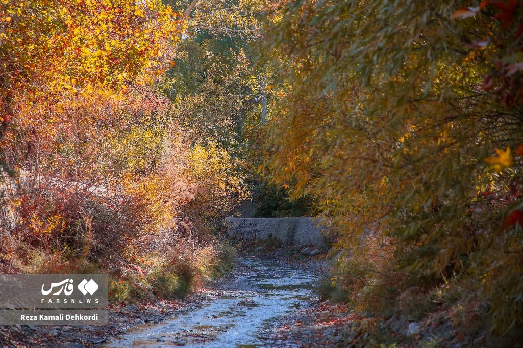 نفس‌های طلایی پاییز در دل زاگرس