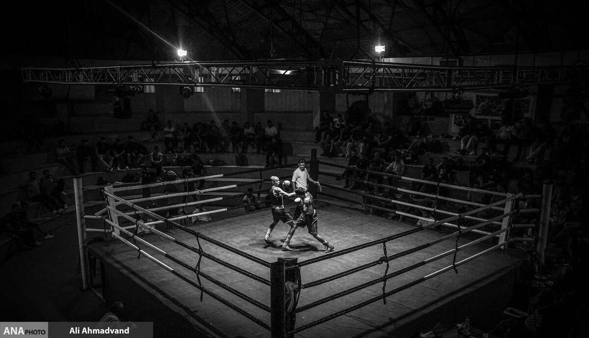 فدراسیون بوکس در مجموعه آزادی زمیندار شد