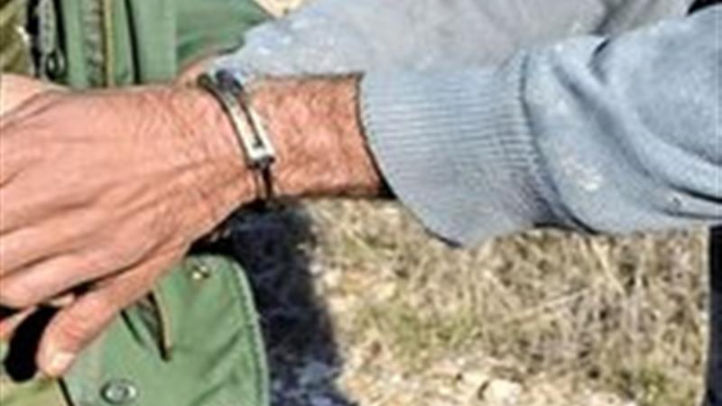 بازداشت عاملان زنده‌گیری کبک در یزد