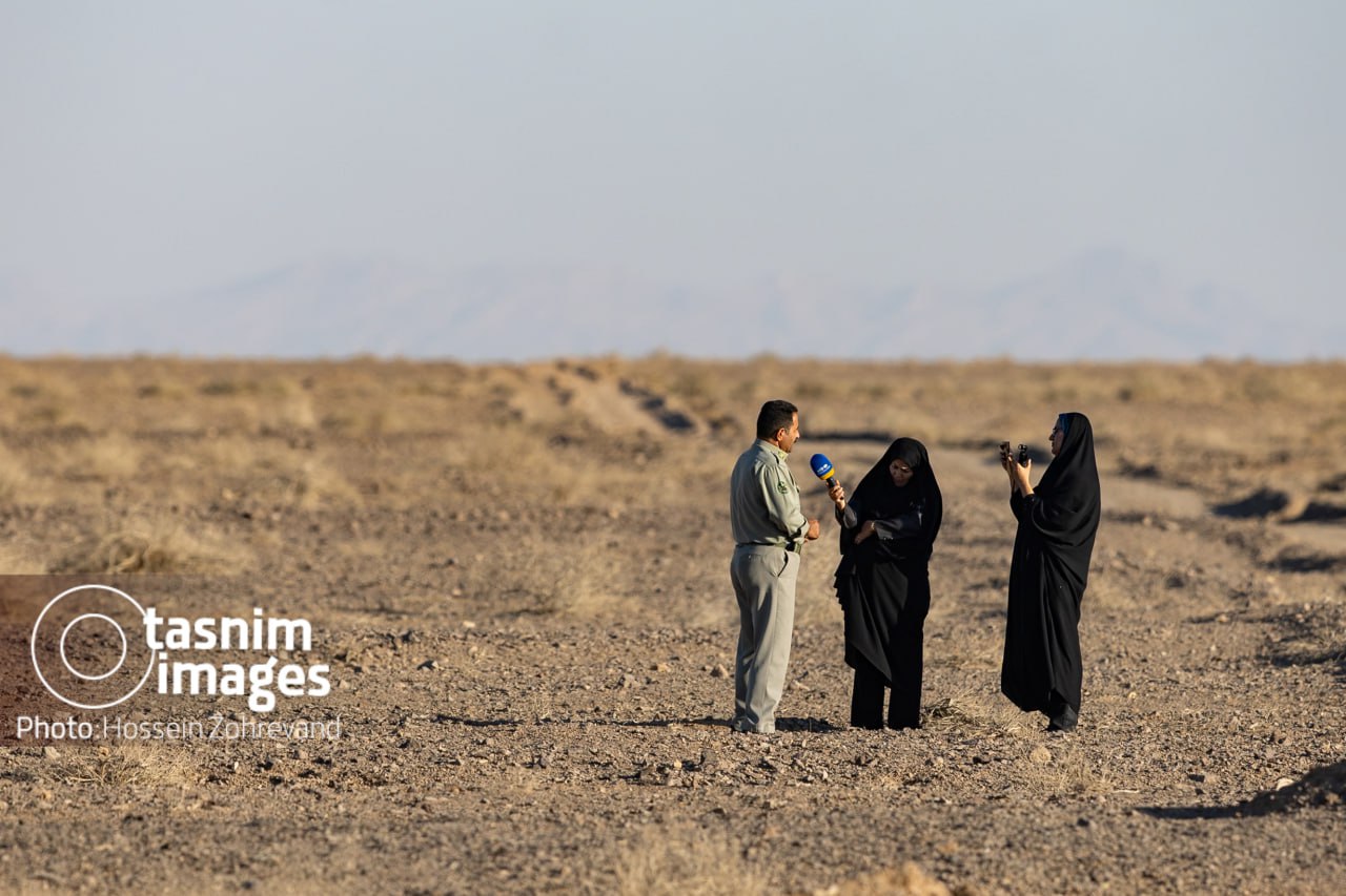 عکس/ احیای گورخر ایرانی در پارک ملی کویر