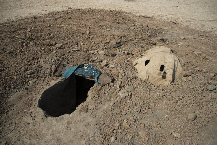 سه متخلف صید پرندگان شکاری در تنگستان دستگیر شدند