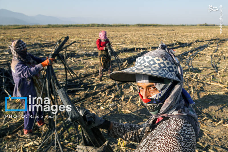 رزق و روزی در خاک و دریا