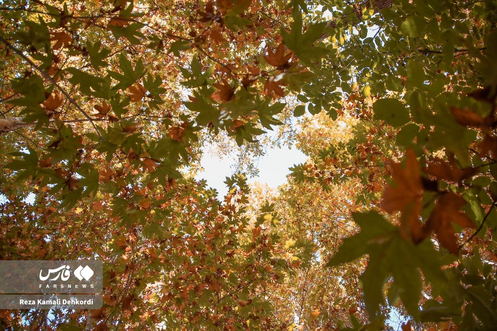 نفس‌های طلایی پاییز در دل زاگرس