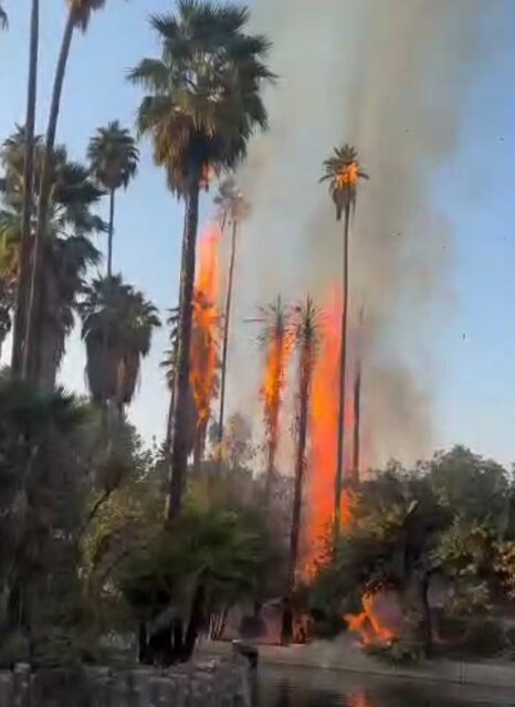 ماجرای آتشسوزی در باغ گردشگری چشمه بلقیس چرام