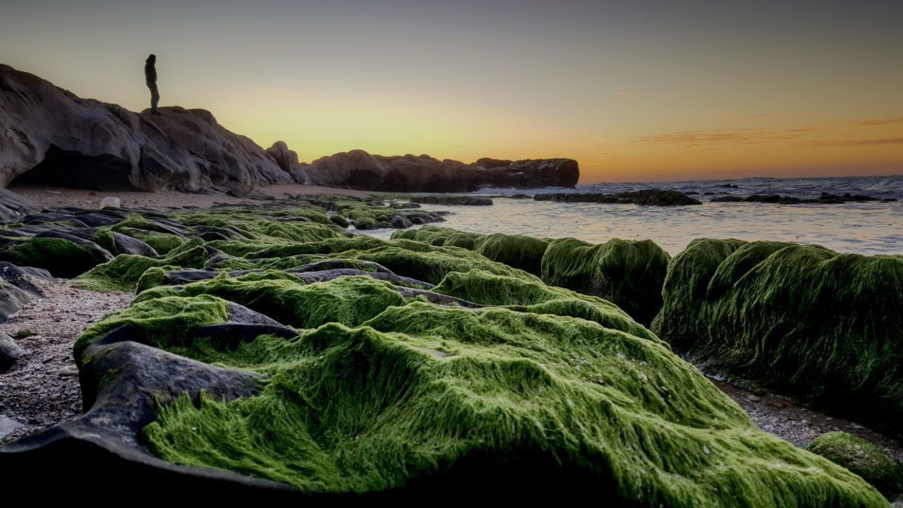 تصاویری دیدنی از ساحل بندر مقام  