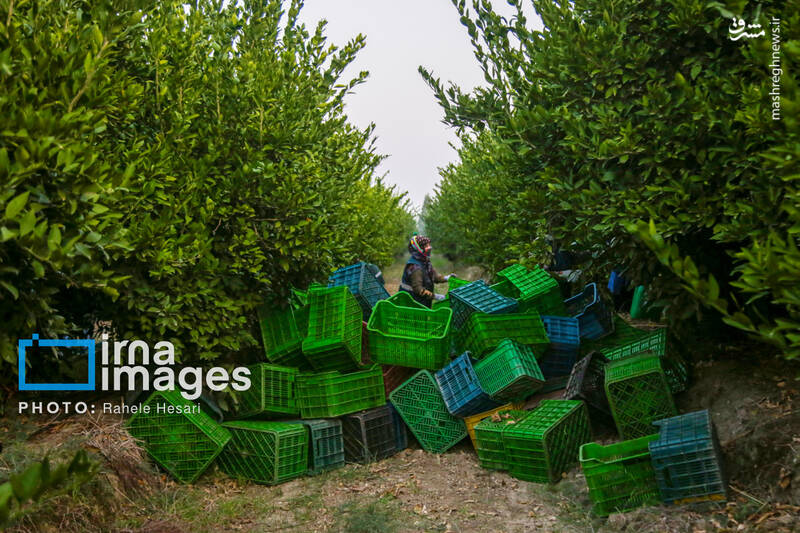 رزق و روزی در خاک و دریا