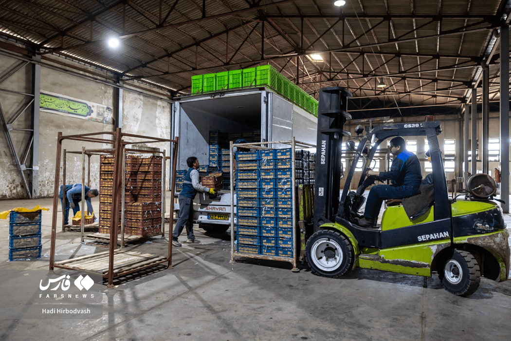 اینجا، امید یخ نمی‌زند !