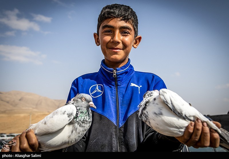 بازار پرنده‌فروشان بجنورد