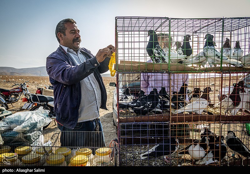 بازار پرنده‌فروشان بجنورد