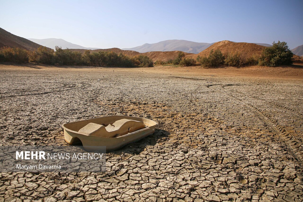 عکس/ مرگ دست جمعی ماهی‌ها در سد عبدل آباد بجنورد