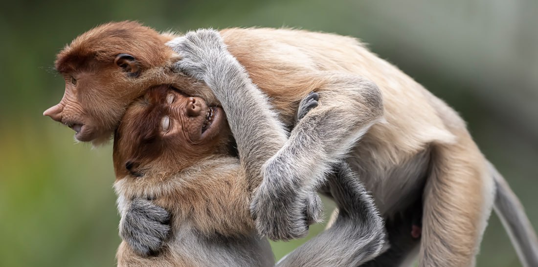 عکس/ برندگان مسابقه عکاسی پانوراما