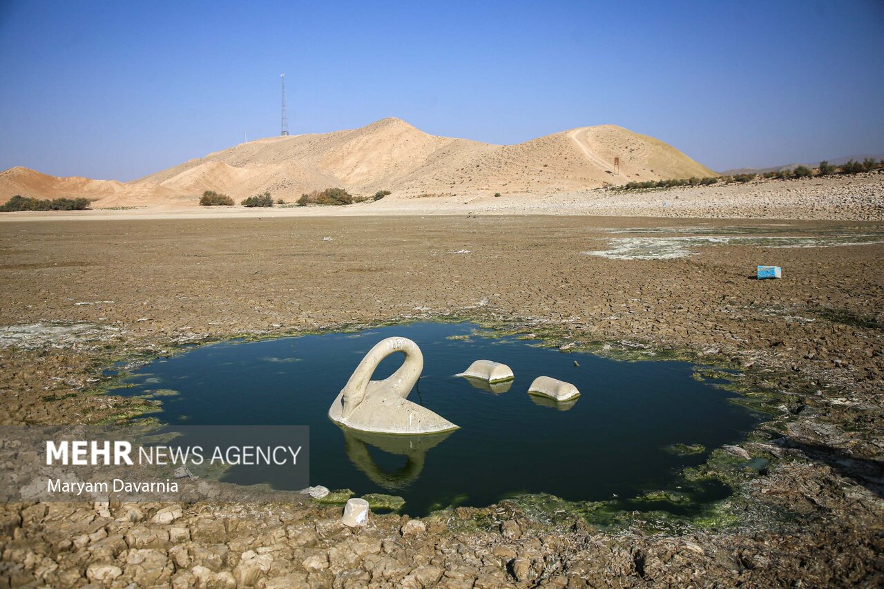 عکس/ مرگ دست جمعی ماهی‌ها در سد عبدل آباد بجنورد