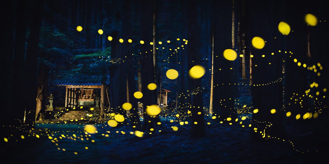 عکس/ برندگان مسابقه عکاسی پانوراما