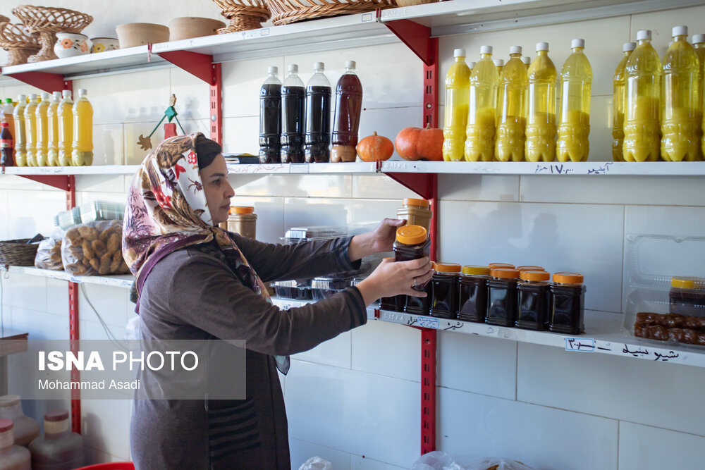 فصل انگور در «هزاوه»