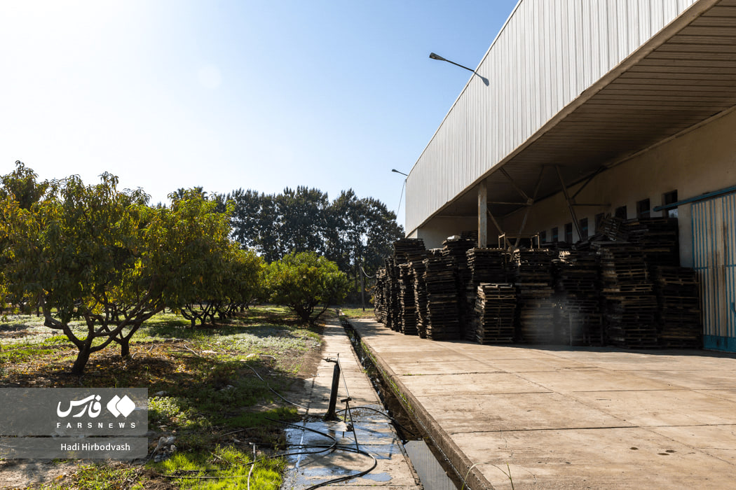 اینجا، امید یخ نمی‌زند !