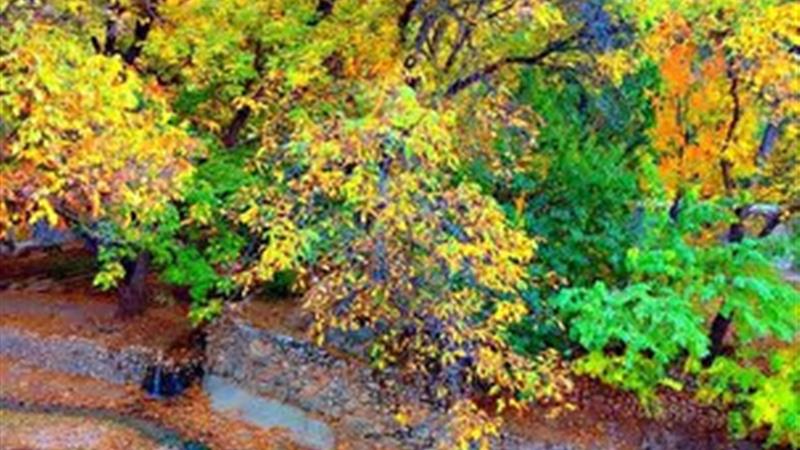 حال و هوای پاییزی در روستای درصوفیان بجنورد